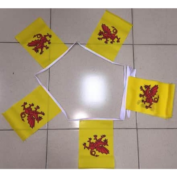 6m 20 flag Somerset New bunting