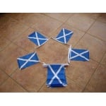 6m 20 flag St Andrews (Scotland) Bunting