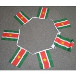 6m 20 flag Suriname bunting