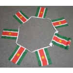 6m 20 flag Suriname bunting