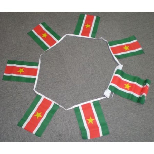 6m 20 flag Suriname bunting