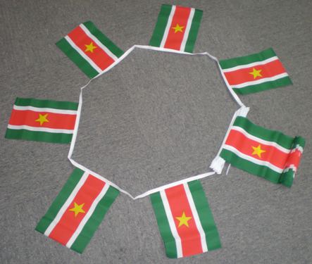 6m-20-flag-surin-4ea965f335a6a 6m 20 flag Suriname bunting - Image 1