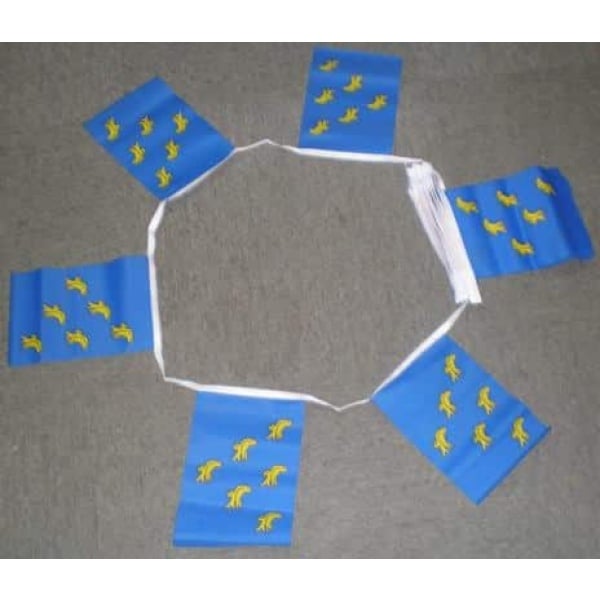 6m 20 flag Sussex bunting