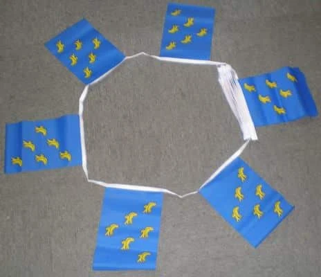 6m-20-flag-susse-5542367d88950 6m 20 flag Sussex bunting - Image 1