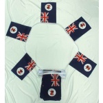 6m 20 flag Tasmania bunting