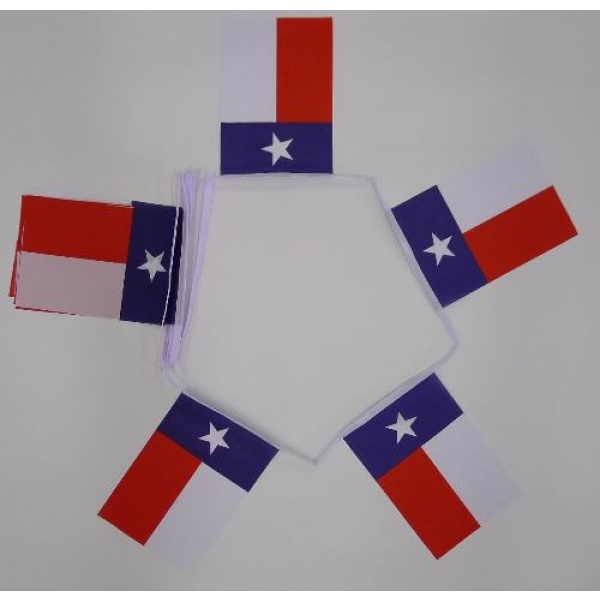 6m 20 flag Texas bunting