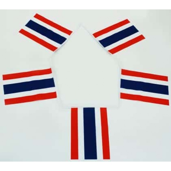 6m 20 flag Thailand Bunting