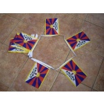 6m 20 flag Tibet bunting