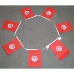 6m 20 flag Tunisia bunting