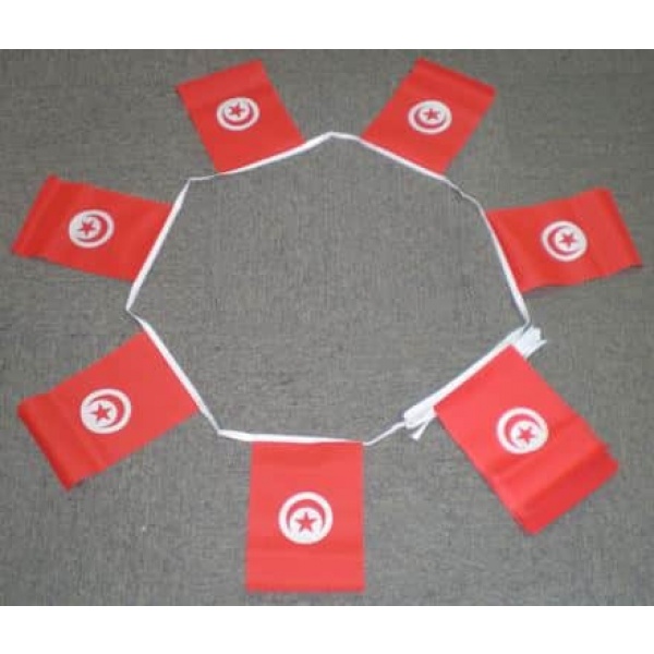 6m 20 flag Tunisia bunting