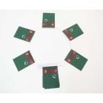 6m 20 flag Turkmenistan bunting