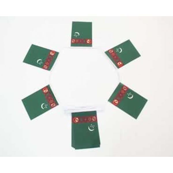 6m 20 flag Turkmenistan bunting