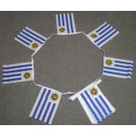 6m 20 flag Uruguay bunting