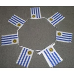 6m 20 flag Uruguay bunting