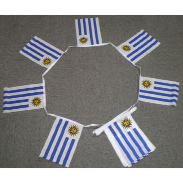 6m 20 flag Uruguay bunting