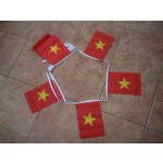 6m 20 flag Vietnam bunting