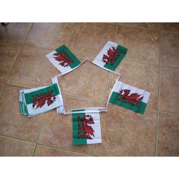 6m 20 flag Welsh Dragon (Wales) Bunting