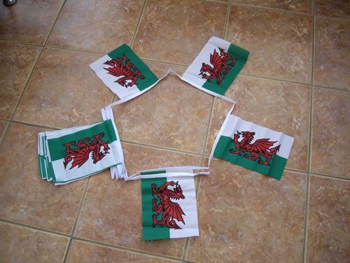 6m-20-flag-welsh-4e15d57674e82 6m 20 flag Welsh Dragon (Wales) Bunting - Image 1