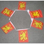 6m 20 flag Wessex bunting