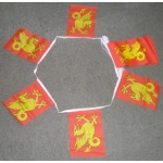 6m 20 flag Wessex bunting