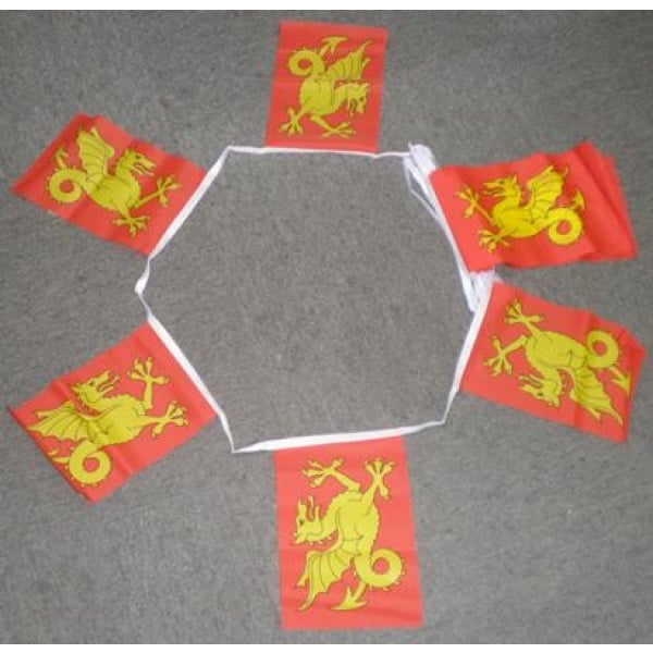 6m 20 flag Wessex bunting
