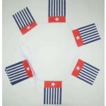 6m 20 flag West Papua bunting