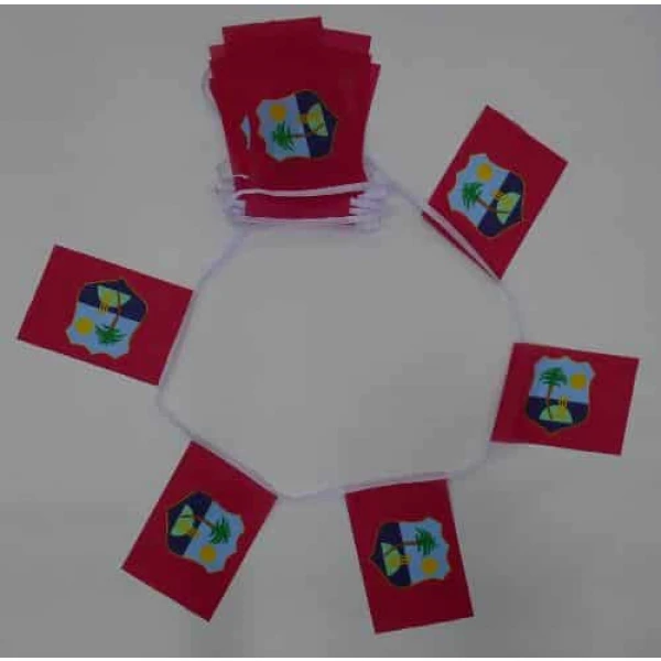 6m 20 flag West Indies bunting