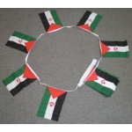 6m-20-flag-western-sahara-bunting