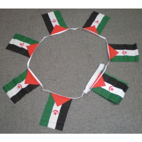 6m-20-flag-western-sahara-bunting