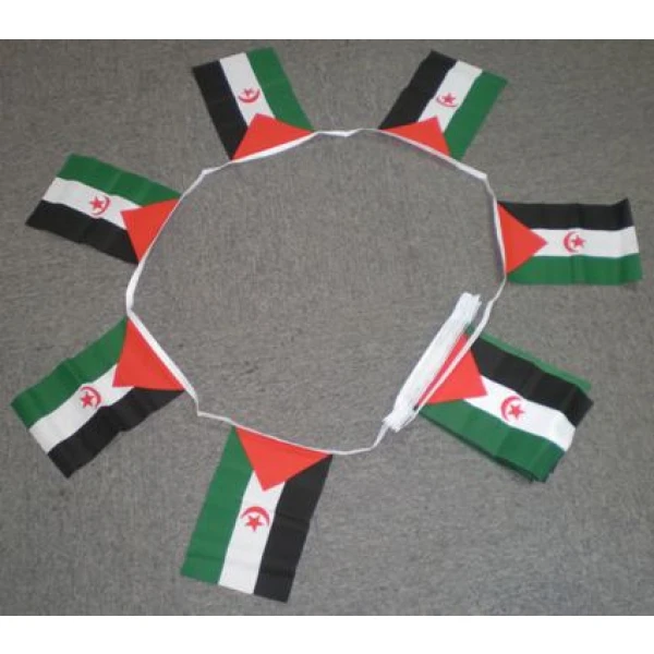 6m-20-flag-western-sahara-bunting