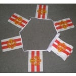 6m 20 flag Westmorland bunting