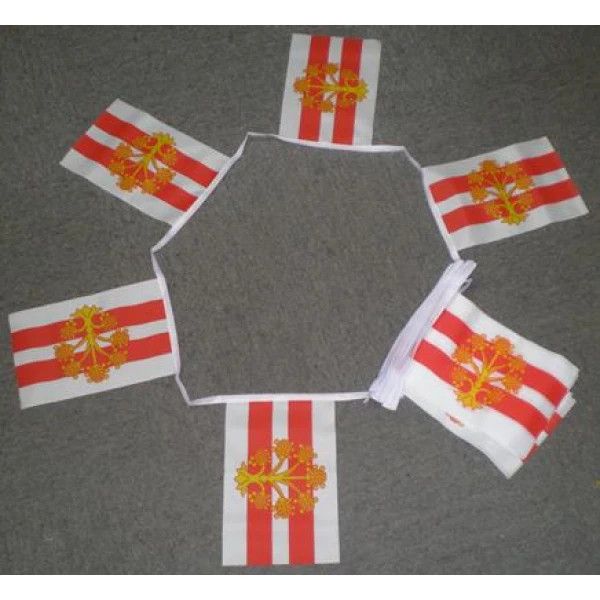 6m 20 flag Westmorland bunting