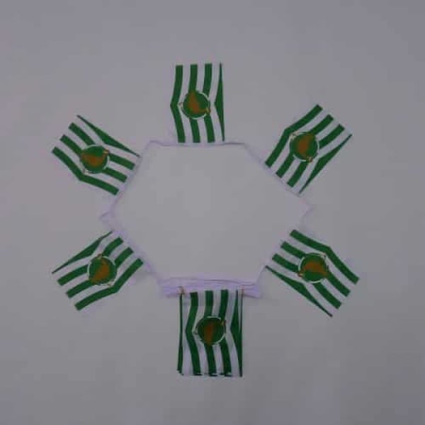 6m 20 flag Wiltshire bunting