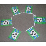 6m 20 flag Worcestershire bunting