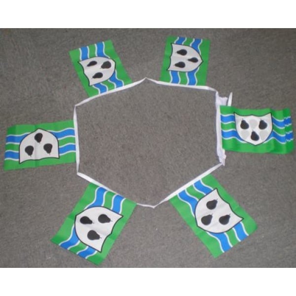 6m 20 flag Worcestershire bunting