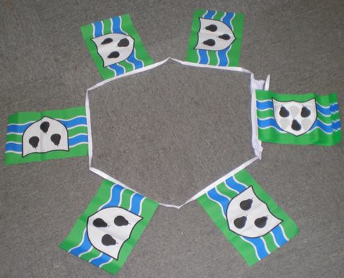 6m-20-flag-worce-552b98e7165d8 6m 20 flag Worcestershire bunting - Image 1