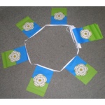 6m 20 flag Yorkshire East Riding bunting