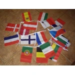 8m 28 flag European Bunting