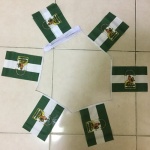 6m 20 flag Andalucia bunting