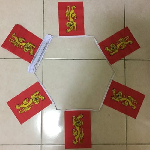 Aquitainebunting 6m 20 flag Aquitaine bunting - Image 1