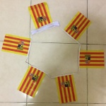 6m 20 flag Aragon bunting