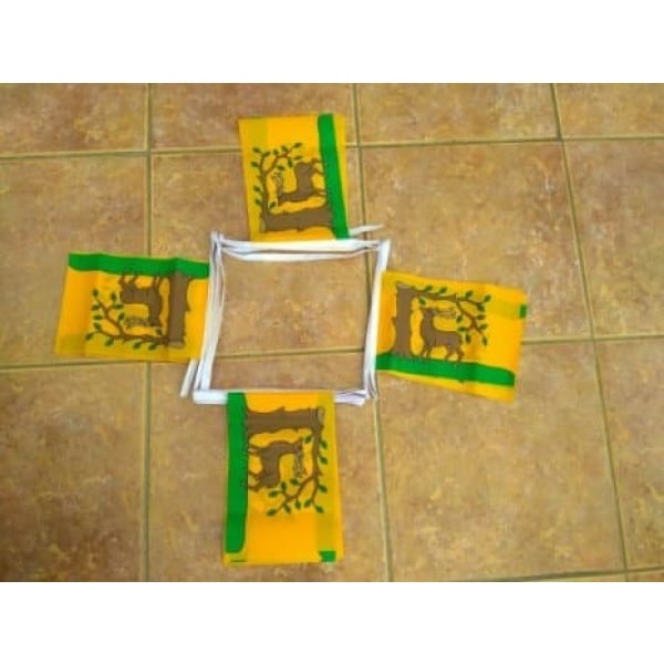 6m 20 flag Berkshire bunting
