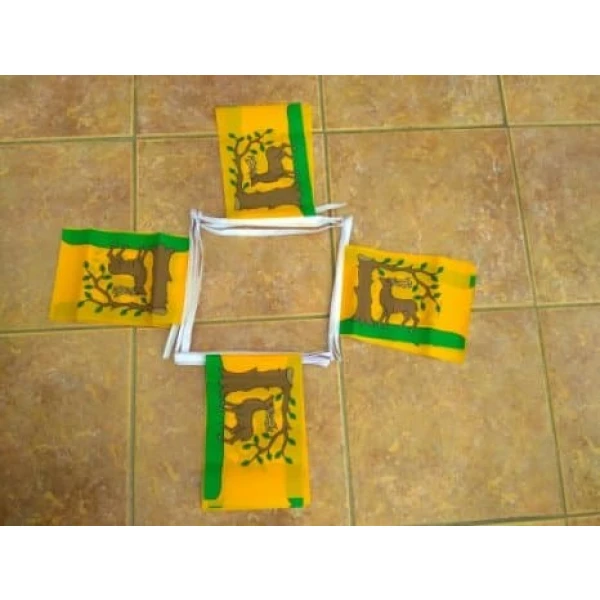 6m 20 flag Berkshire bunting