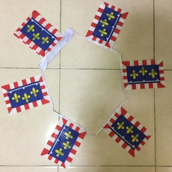 6m 20 flag Centre bunting
