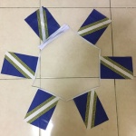 6m 20 flag Champagne Ardenne bunting