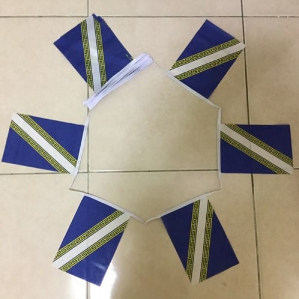 6m 20 flag Champagne Ardenne bunting