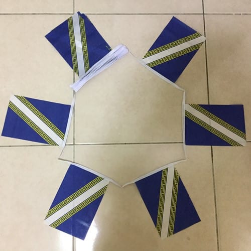 ChampagneArdennebunting 6m 20 flag Champagne Ardenne bunting - Image 1