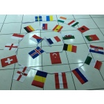 16m 24 flag 12x18 assorted Euro Nations bunting