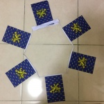 6m 20 flag Franche Comte bunting