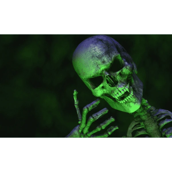 green skeleton flag